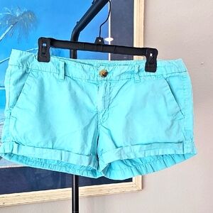 American Eagle Outfitters Turquoise Women's Shorts